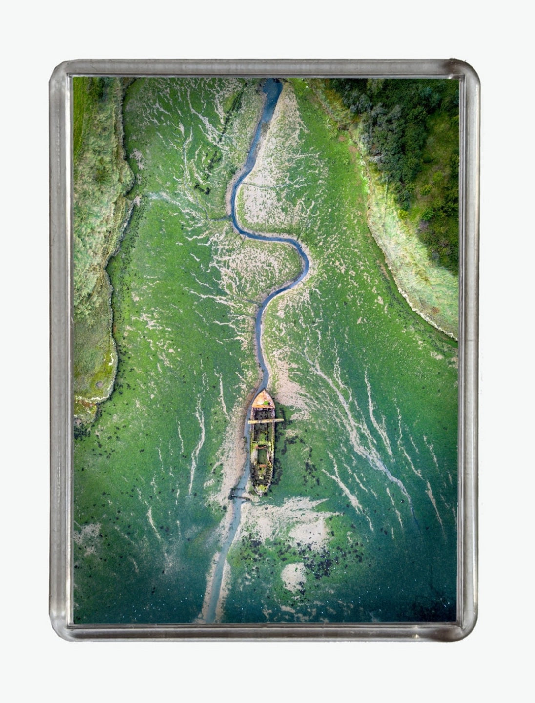 The Wreck of the Yellowfin