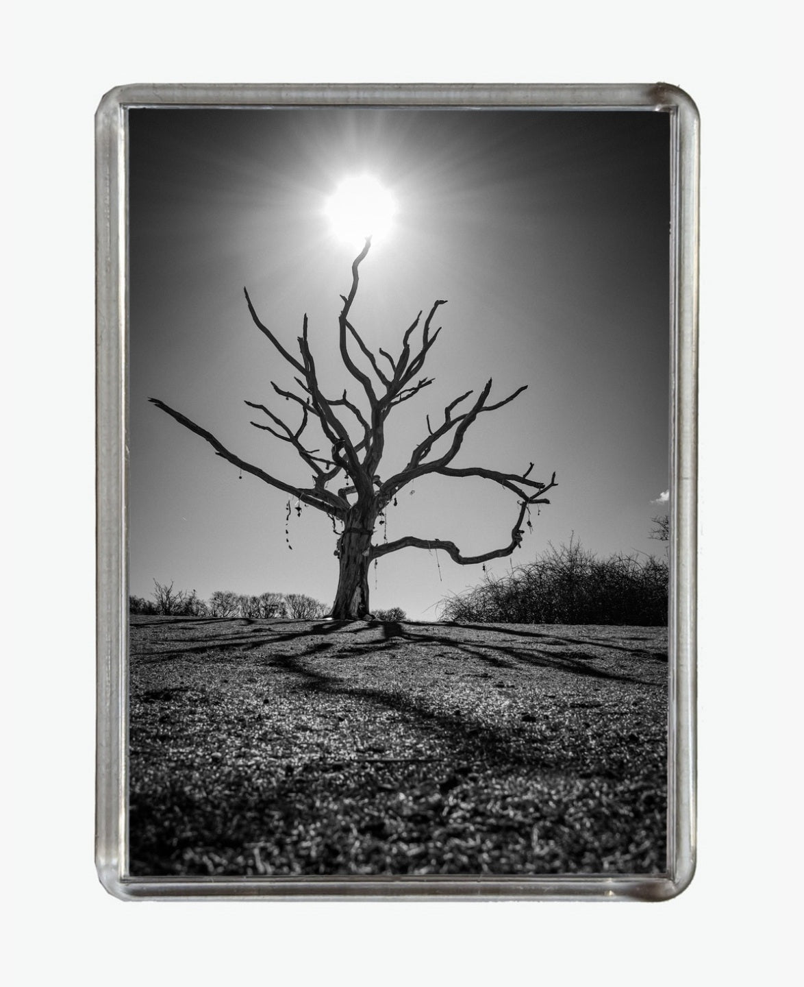 The Wishing Tree - The Duver, St Helens