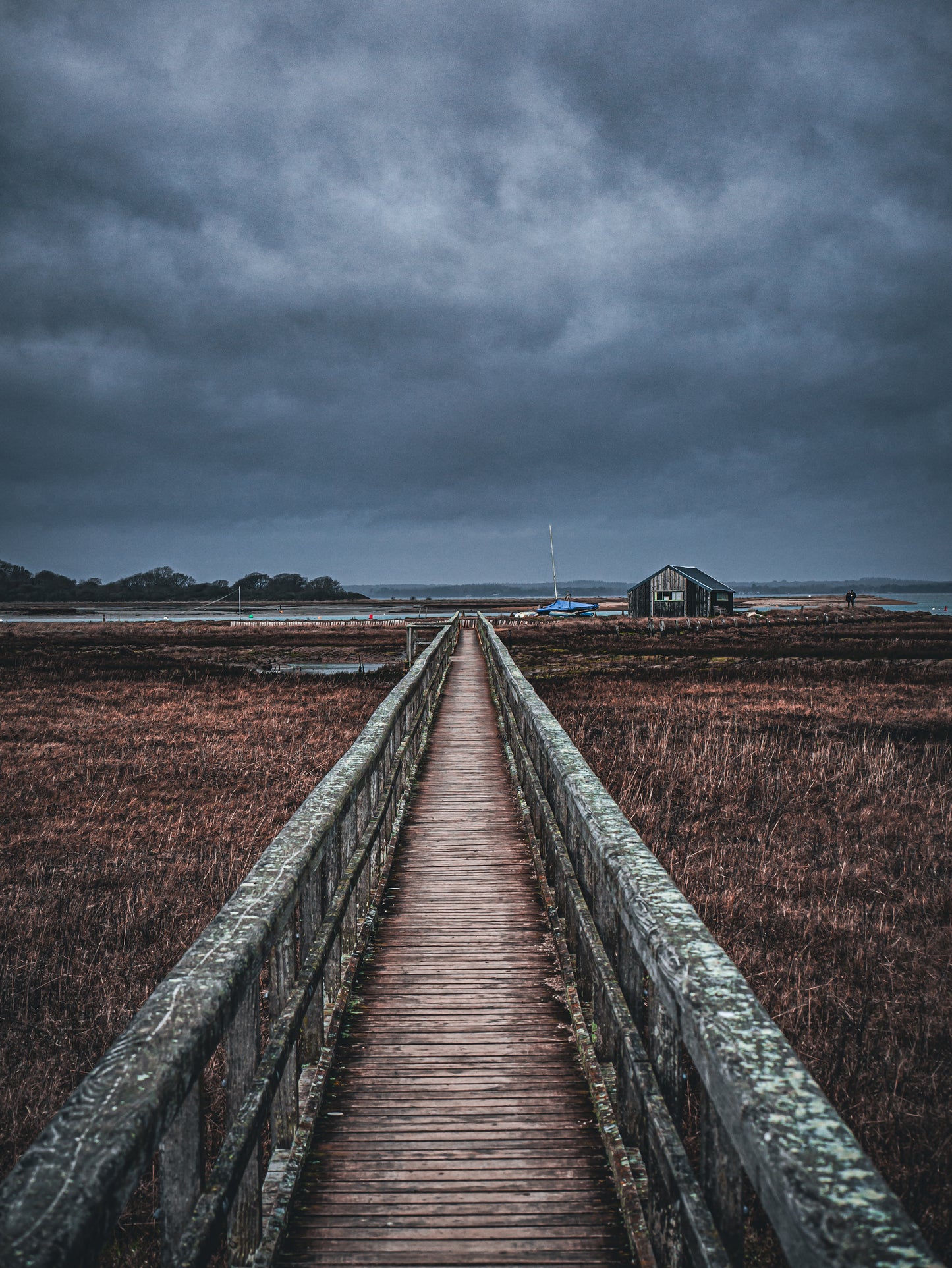 Newtown Creek