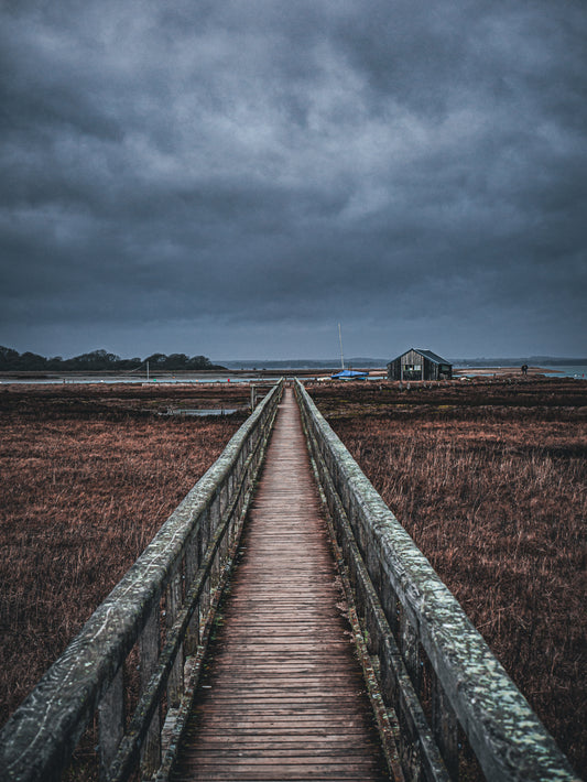 Newtown Creek