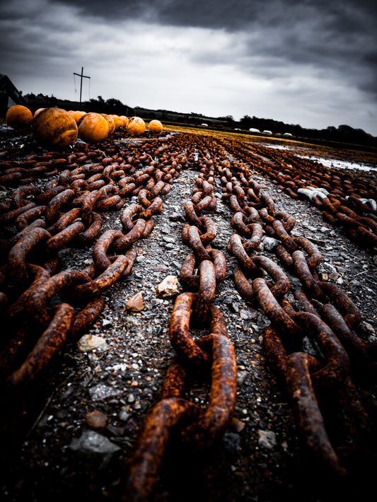 'Chains', Newtown Marina