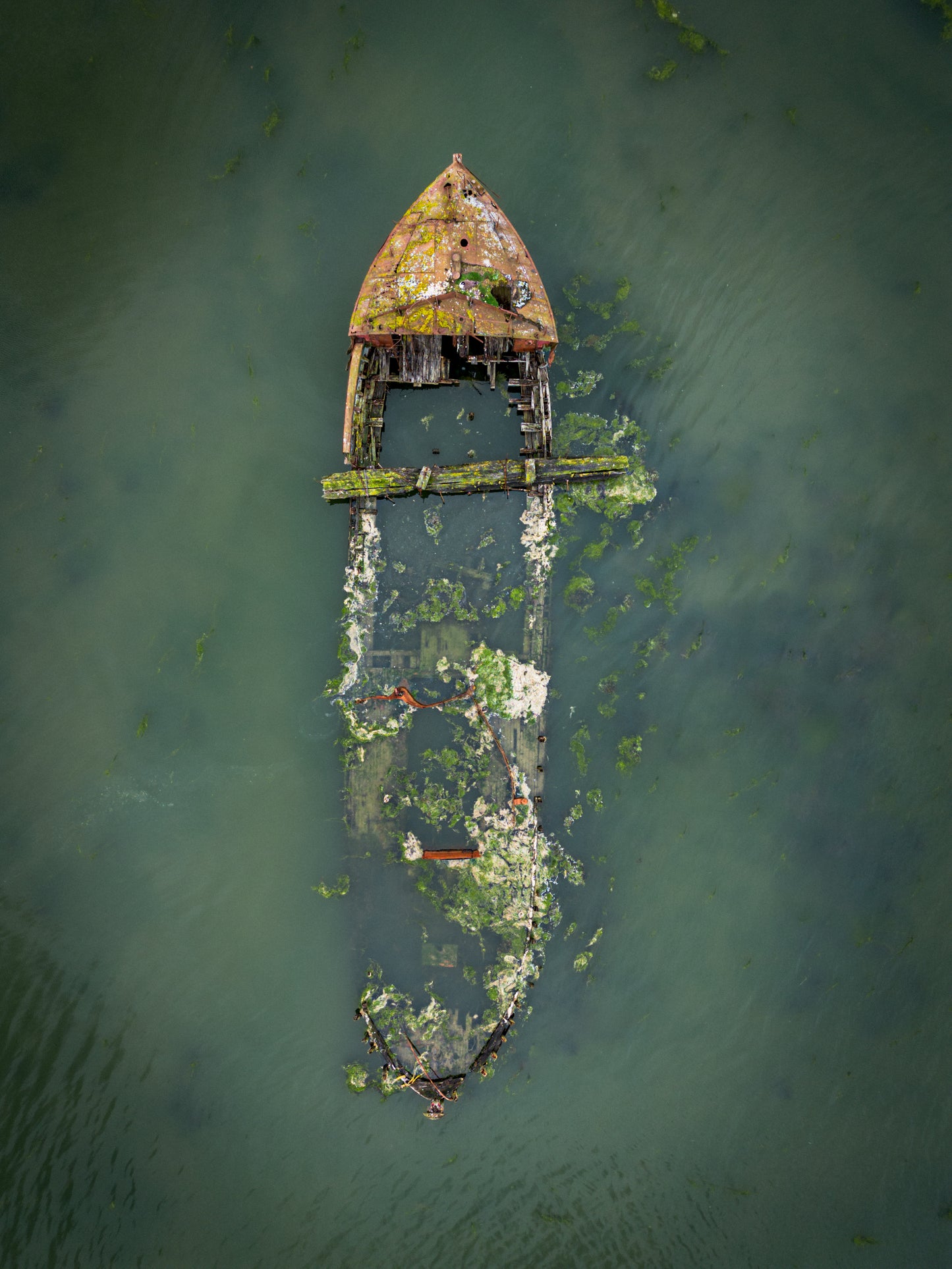 The Wreck of the Yellowfin