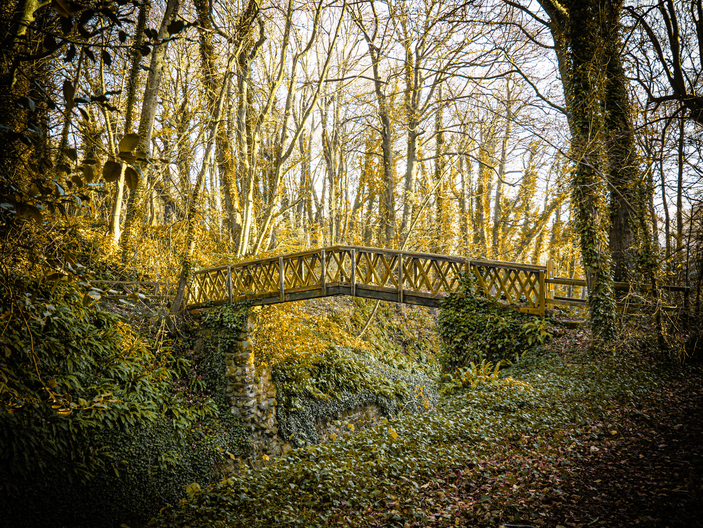 Shorwell Shute in Winter