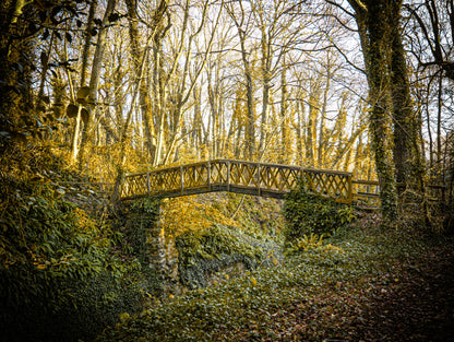 Shorwell Shute in Winter