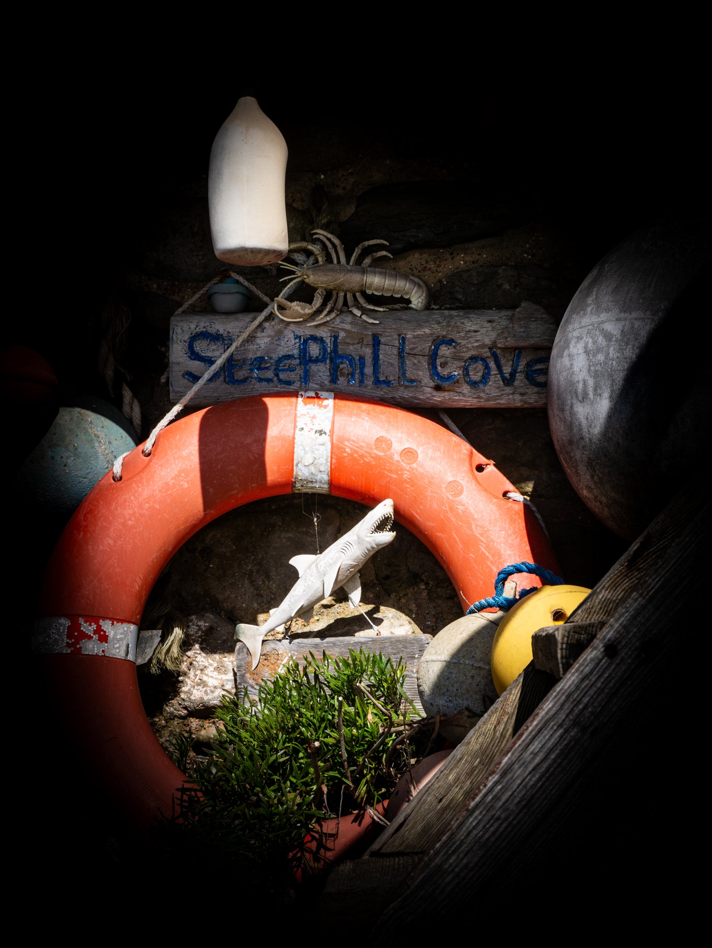 Steephill Cove