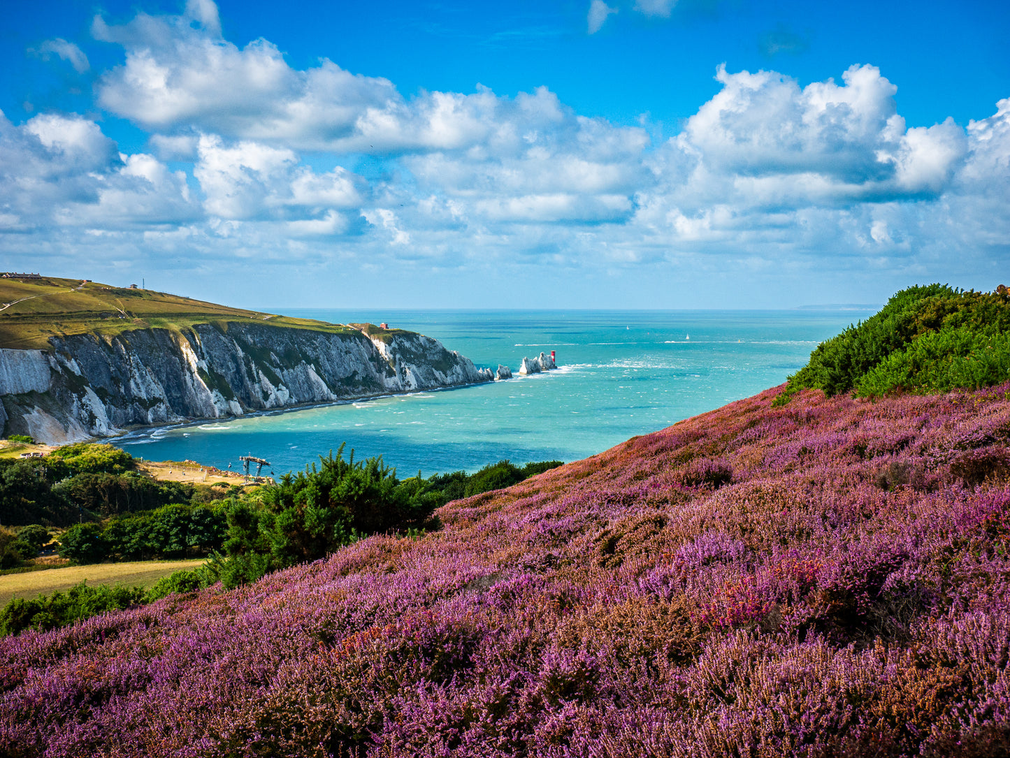 Headon Warren