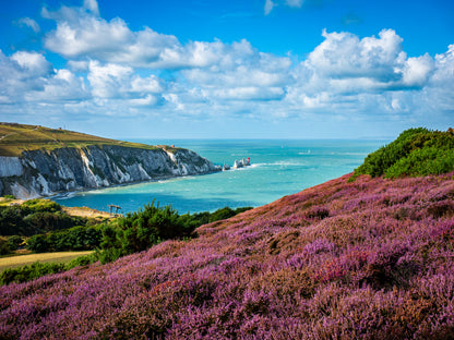 Headon Warren