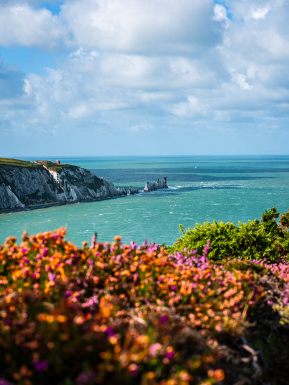 Headon Warren