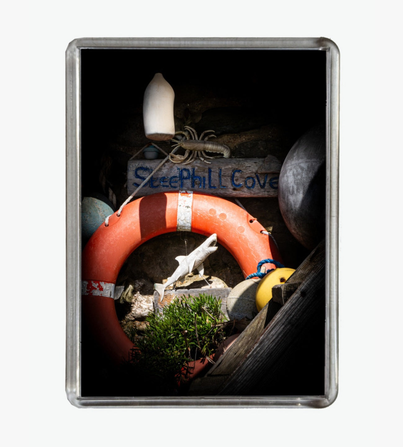 Steephill Cove