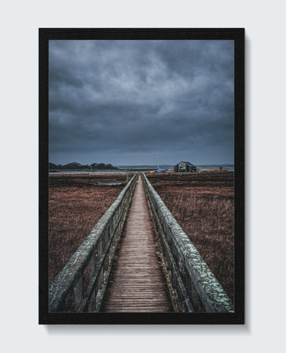 Newtown Creek