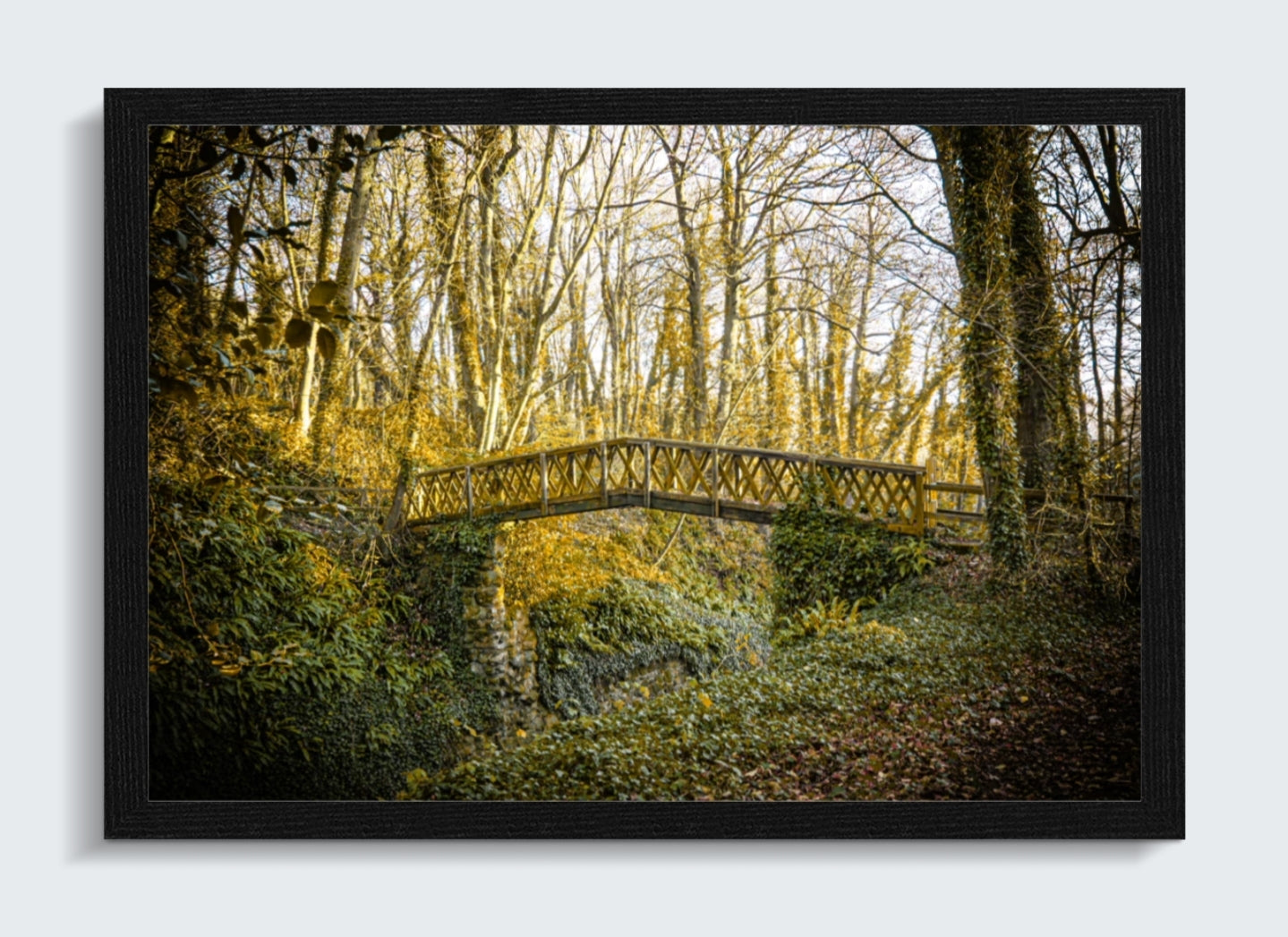 Shorwell Shute in Winter