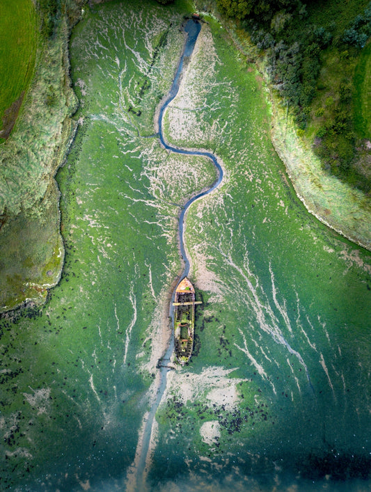 The Wreck of the Yellowfin