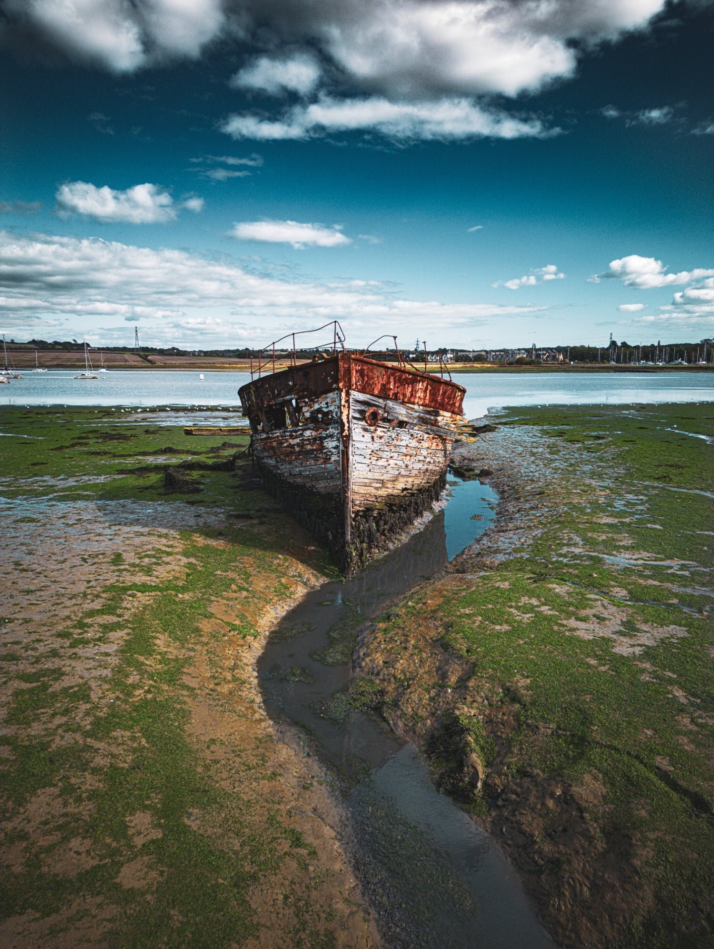 The Wreck of the Yellowfin