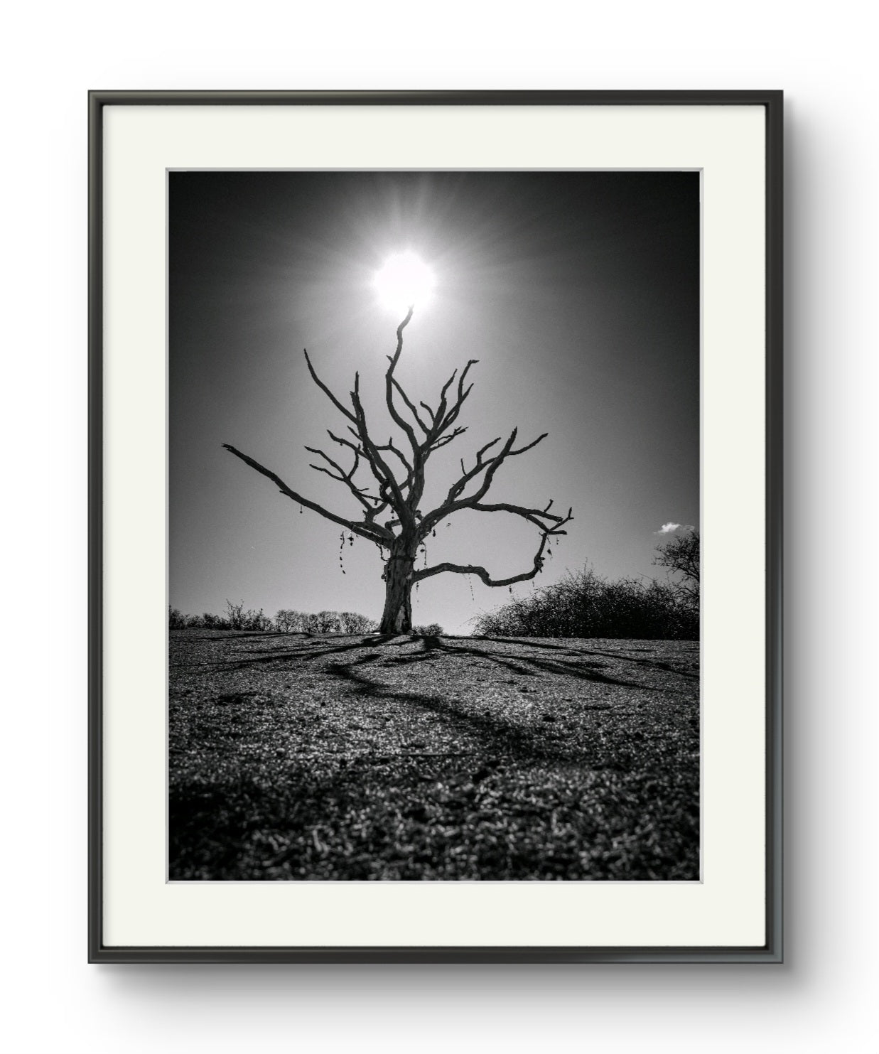The Wishing Tree - The Duver, St Helens