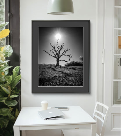 The Wishing Tree - The Duver, St Helens
