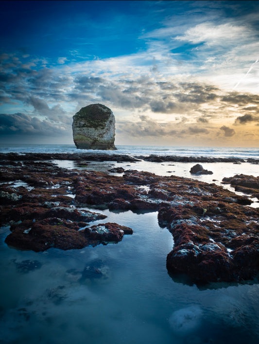 Freshwater Bay - Fine Art Print