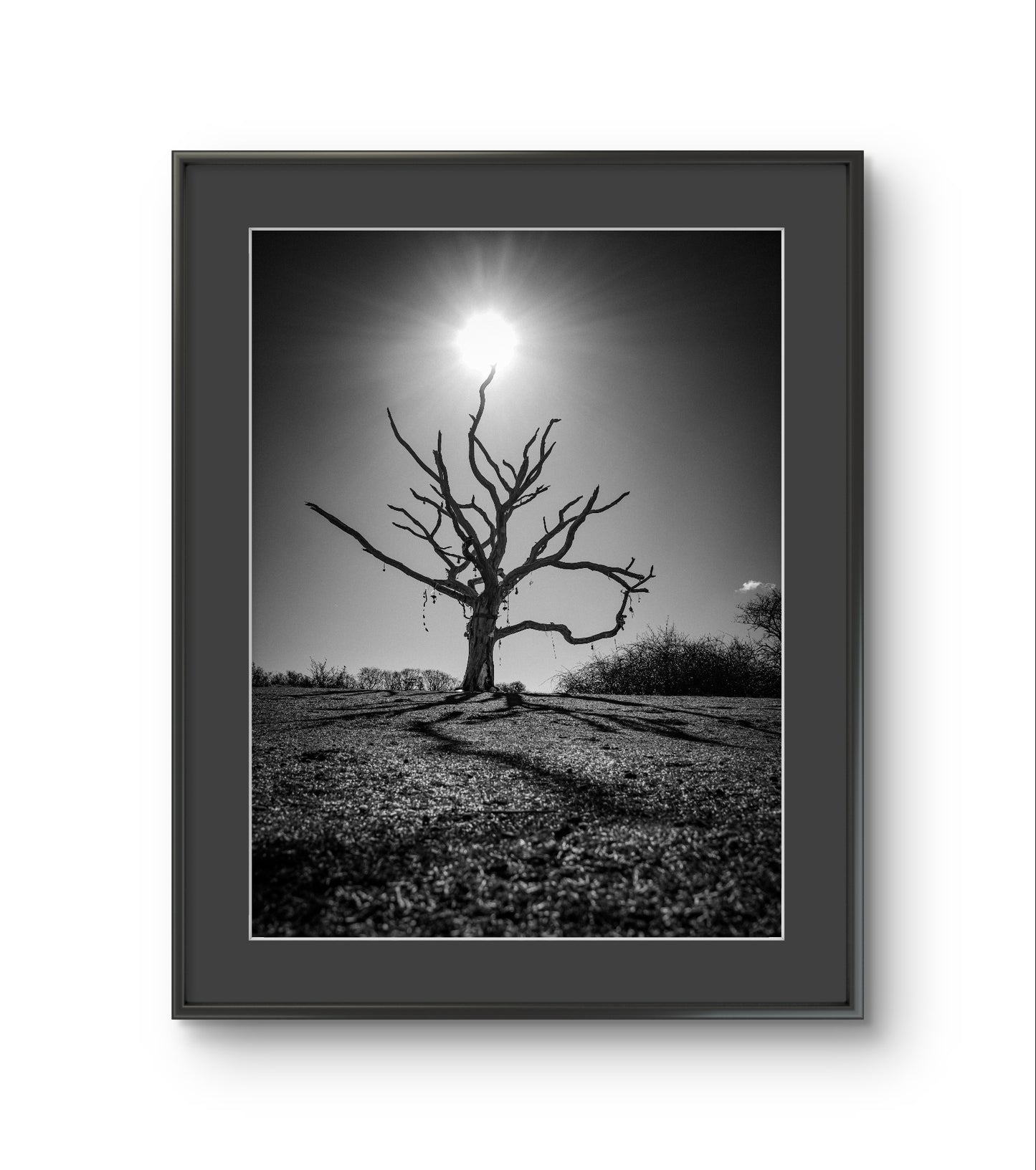 The Wishing Tree - The Duver, St Helens