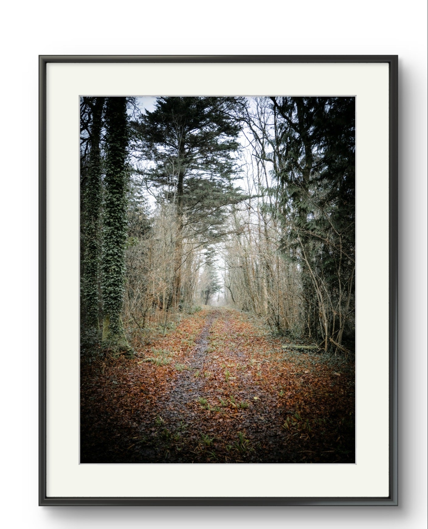 Firestone Copse