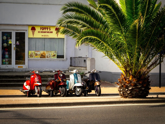 Retro Rides and Summer Vibes - Ryde