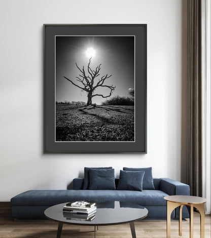 The Wishing Tree - The Duver, St Helens