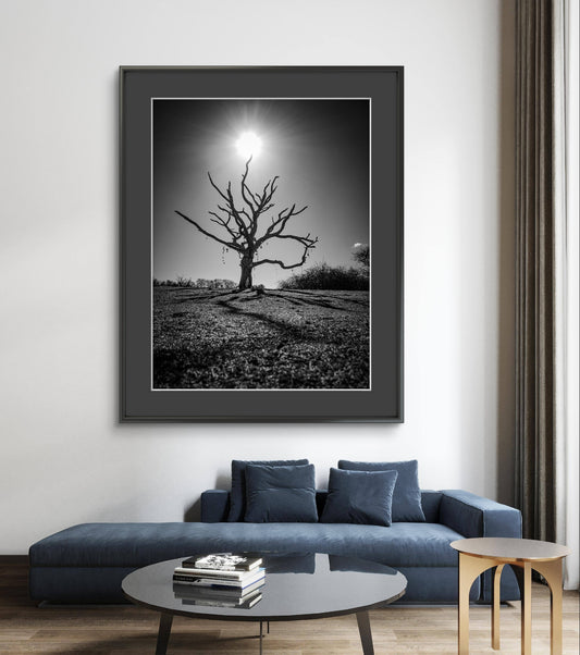 The Wishing Tree - The Duver, St Helens