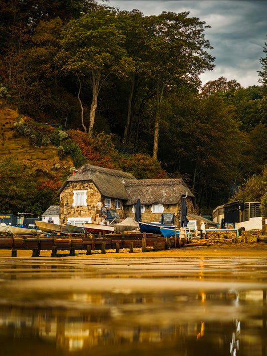 Autumn Below the Chine - Fine Art Print